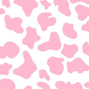 Meet your Posher, Mackenzie